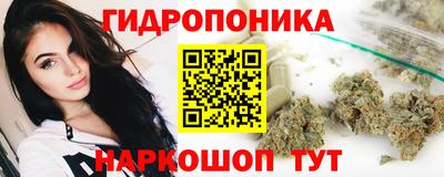 винт Ливны