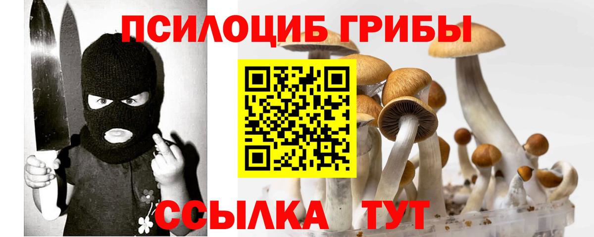 Псилоцибиновые грибы Psilocybe  Псилоцибиновые грибы прущие грибы  Вход с VPN  Джанкой 